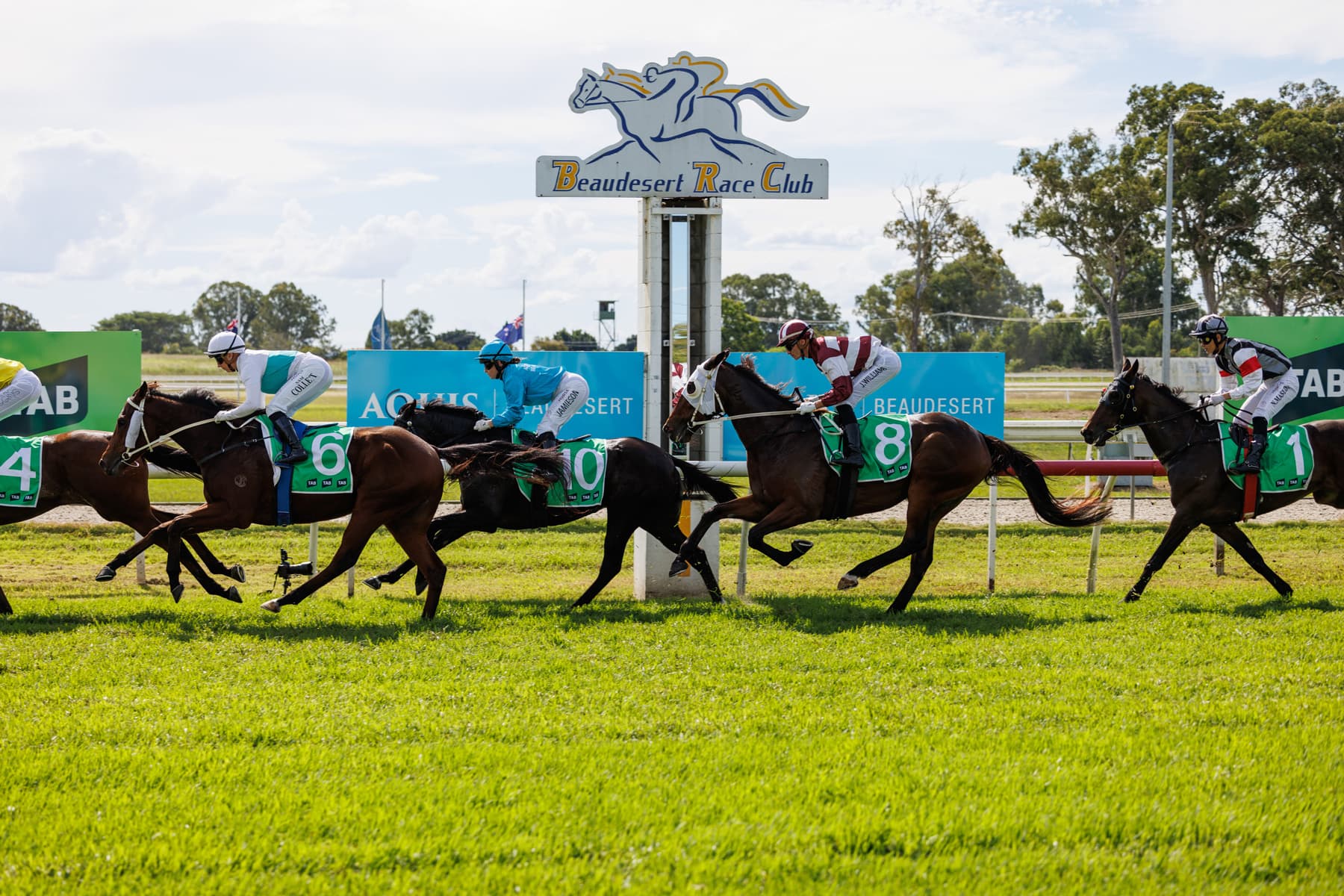 Gold Coast Turf Club profile picture