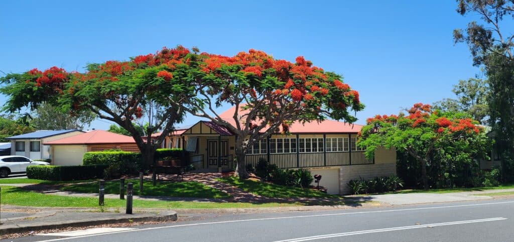 Mudgeeraba Foundation Centre profile picture