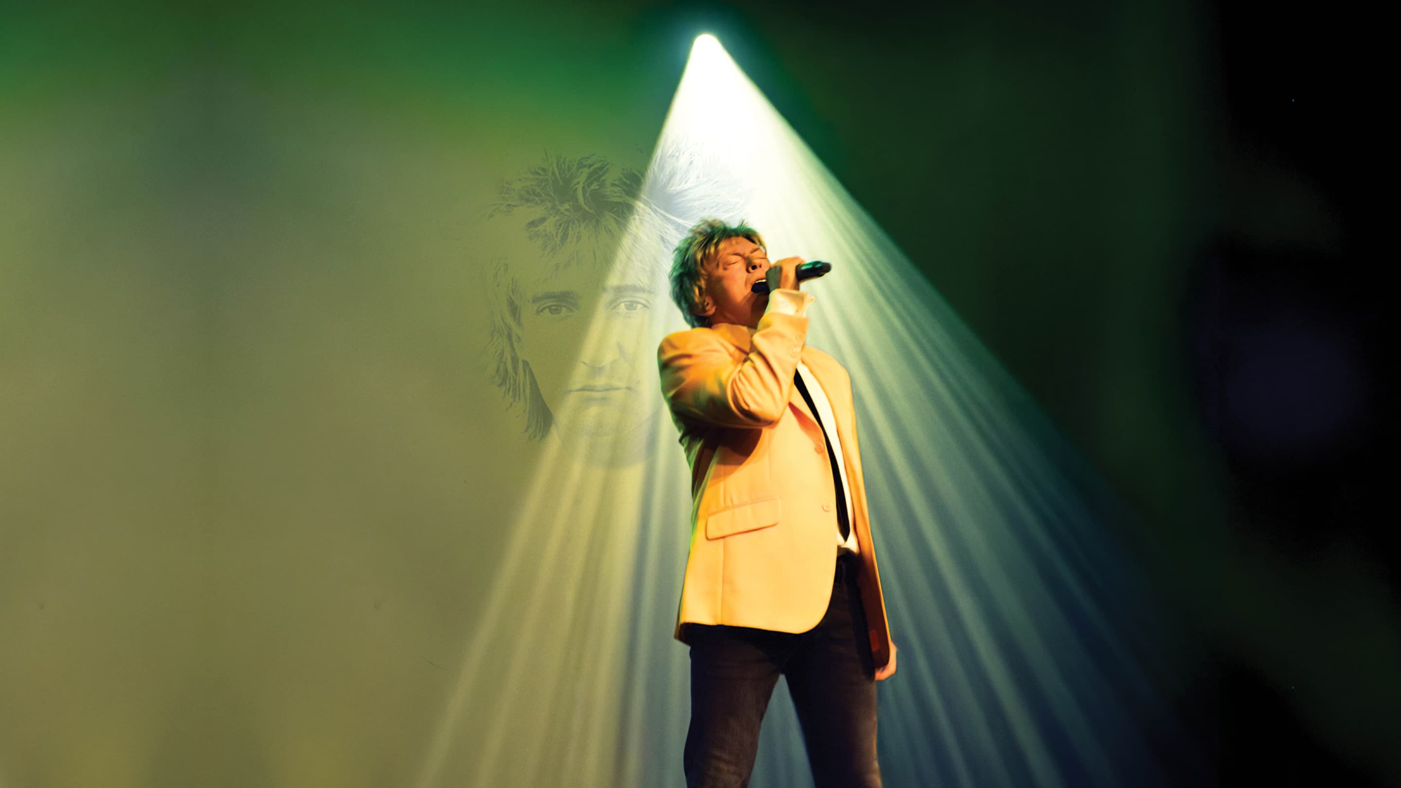 The Rod Stewart Show cover