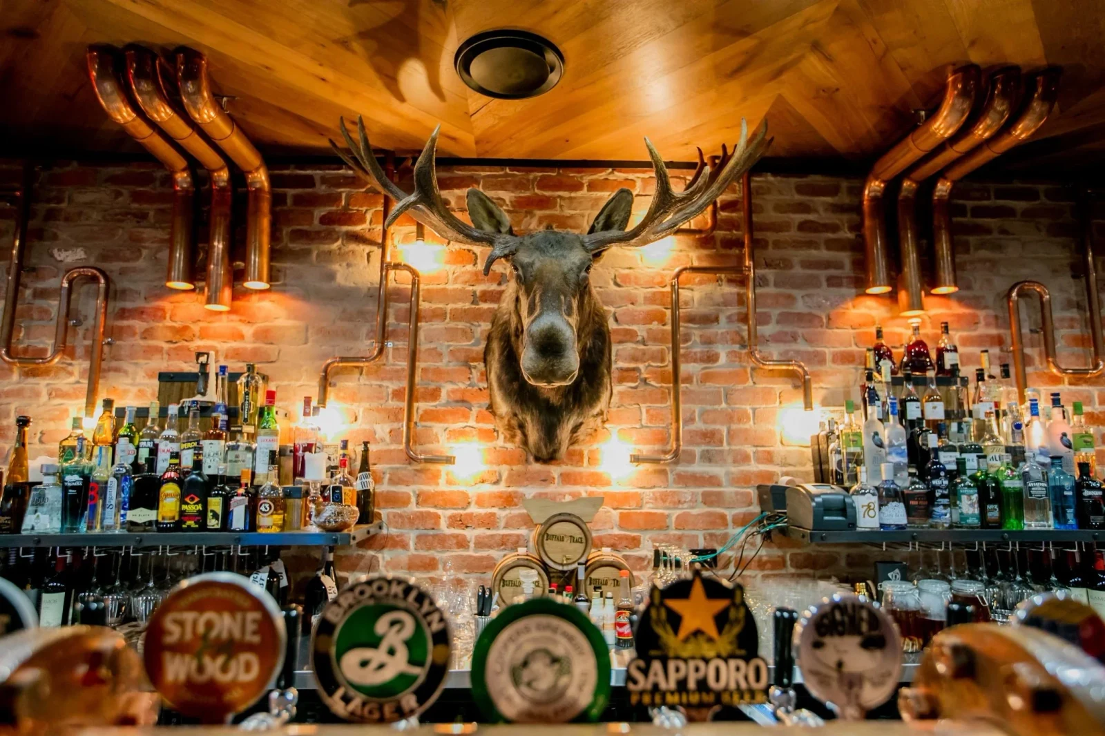 The Loose Moose — The Loose Moose interior